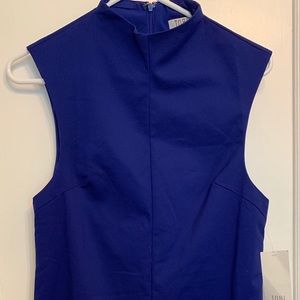 Royal Blue Sleeveless TOBI Dress